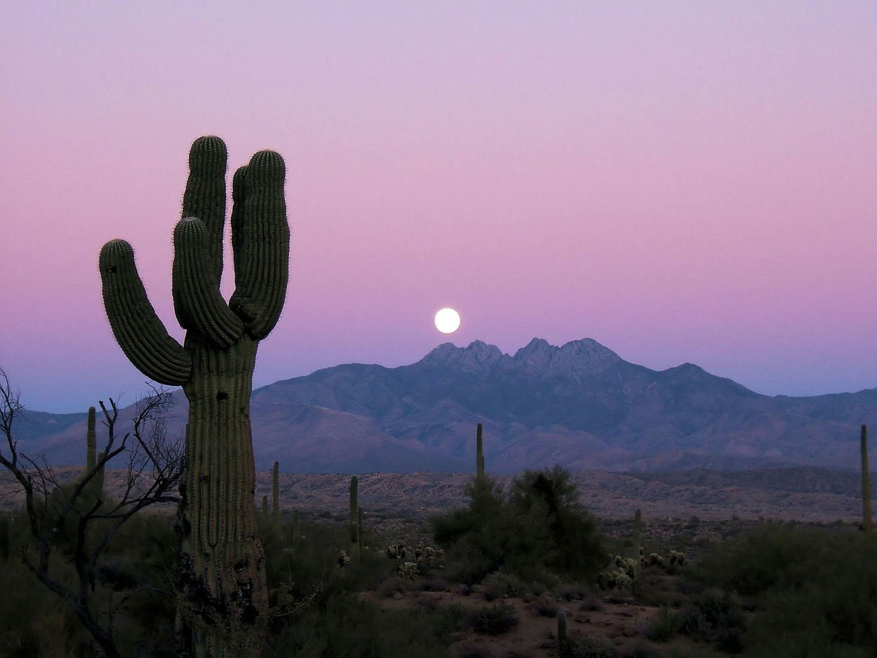The Full Moon rises in the desert