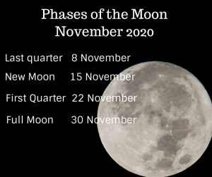 November 2020 Moon Phases