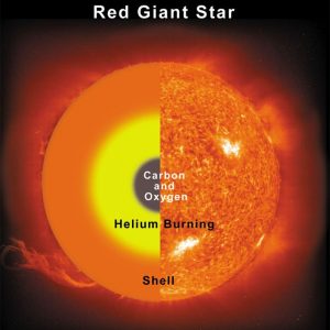 Red giant interior